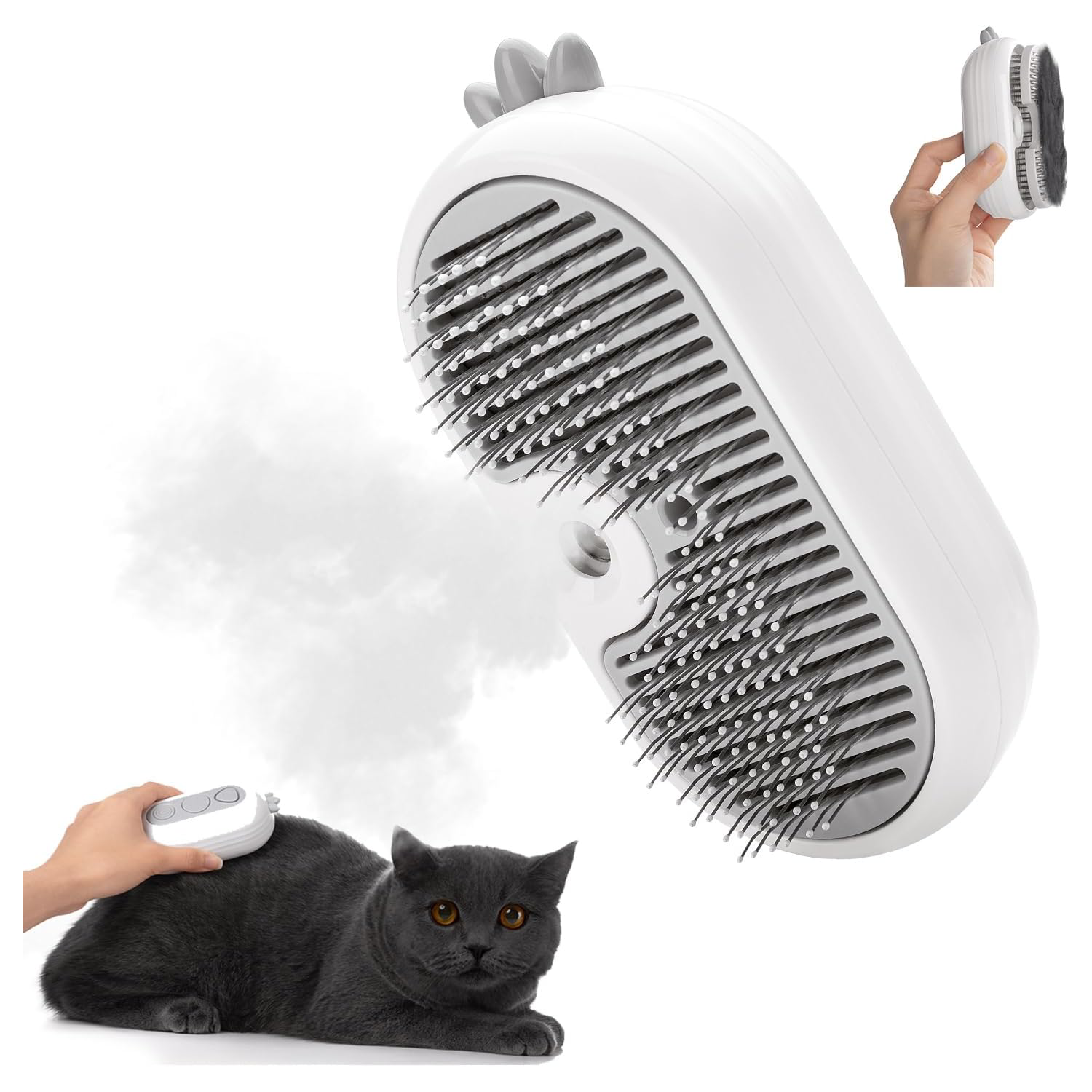 Grooming & Cleaning