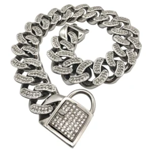 Stainless Steel Dog Chain Collar with Leash