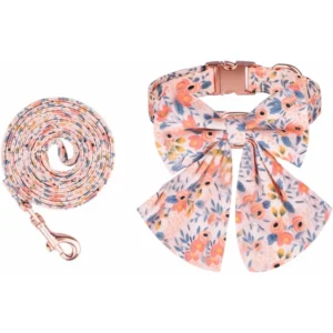Spring Bowtie Collar with Matching Leash