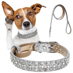 Bling Diamond Pet Collar & Leash Set