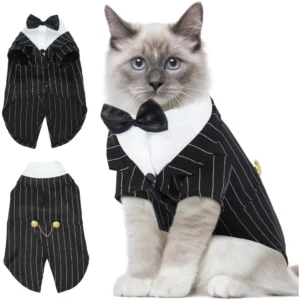 Cat Formal Suit with Bow Tie