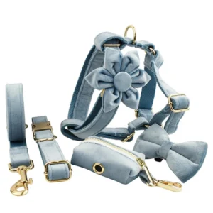Unique Dog Collar, Harness & Leash Set