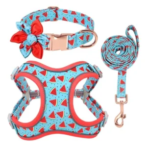 Blue Printed Pet Leash & Harness Set