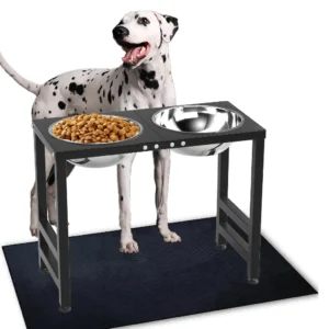 Metal Elevated Dog Bowls for Large Breeds